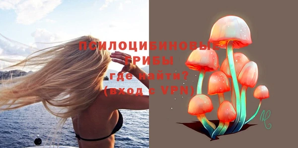 ешки Нефтегорск