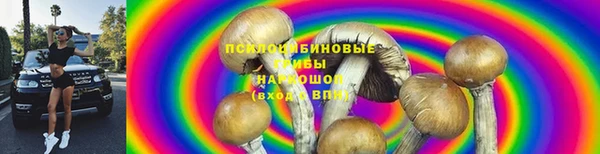 ешки Нефтегорск