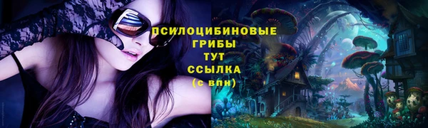 ешки Нефтегорск